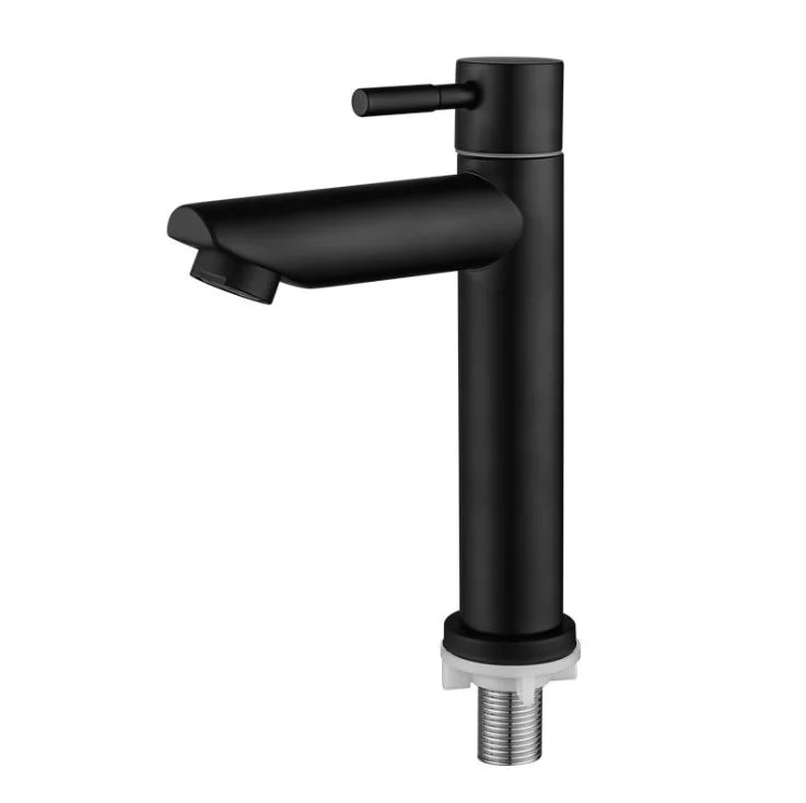 Wall Mounted Kitchen Faucet Single Cold Faucet Stainless Steel