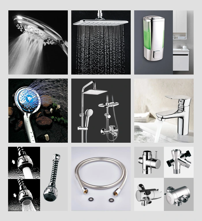 Wall Mounted Bathroom Shower Handle Shower Head Set with Stainless Steel Hose and Holder