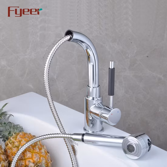 Grifo de fregadero de cocina cromado de latón Fyeer con rociador extraíble